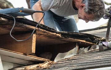 common causes of Wild Mill fascia damage